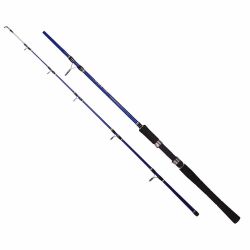 Albastar Aglia 2015 180cm 10-40lb Olta Kamışı - 3