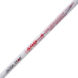 Albastar Baton 3246 Porselensiz Göl Olta Kamışı - 2