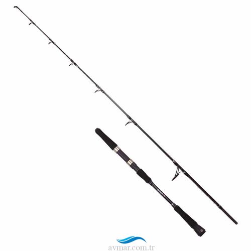 Albastar Novus 165cm 100-300gr Tekne Bot Kamışı - 3