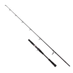 Albastar Novus 180cm 100-300gr Tetikli Tekne Bot Kamışı - 1