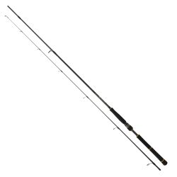 Daiwa New Bg Seabass 244cm 7-28gr Spin Olta Kamışı - 1