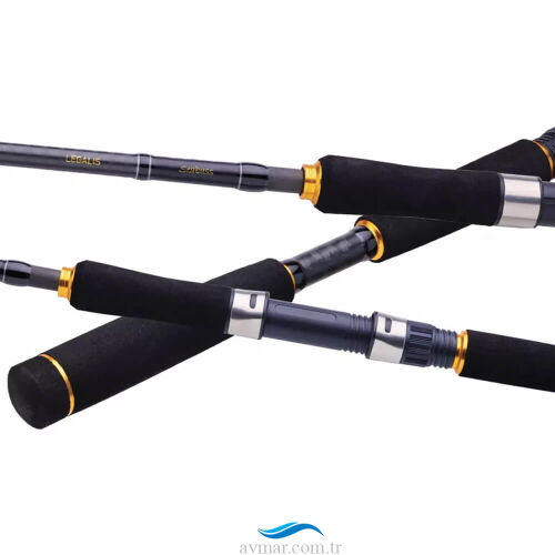 Daiwa Legalis Seabass 221cm 28-84gr 1+1 Olta Kamışı - 2