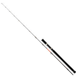 Daiwa Megaforce Jigging 180cm 30-80g Olta Kamışı - 1