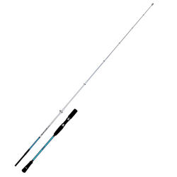 Fujin BlueGame Jigging 203cm 60-140gr Jig Kamışı - 1
