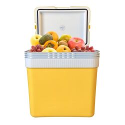 Icepeak SF26 Taşıma Çantası Buzluk 26lt Sarı - 2