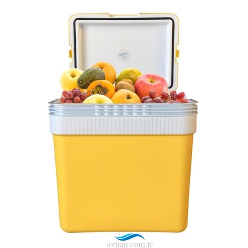 Icepeak SF26 Taşıma Çantası Buzluk 26lt Sarı - 2