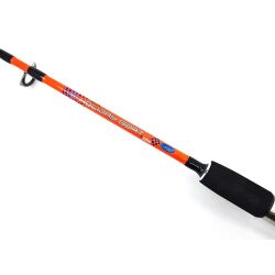 Kendo Holiday Boat 180cm 100-250gr 2P Bot Kamışı - 2