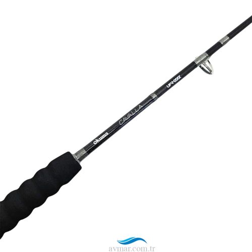 Cavalla Speed Jigging Spin 159cm H 200-350gr Tek Parça Olta Kamışı - Okuma (1)