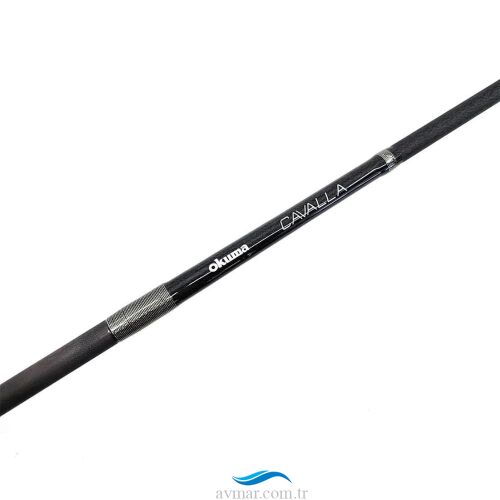 Cavalla Slow Jigging Spin 203cm M 20-100gr 1+1 Olta Kamışı - Okuma (1)