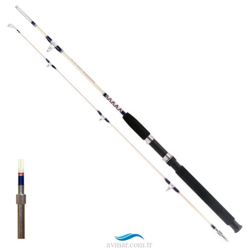 Remixon Hurricane 20-40lbs Tekne Bot Kamışı - Remixon