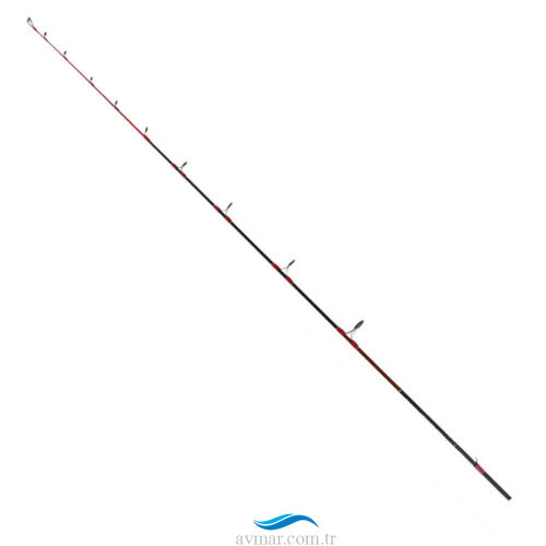 Ryuji Searider 180cm 60-180gr Uç Parça