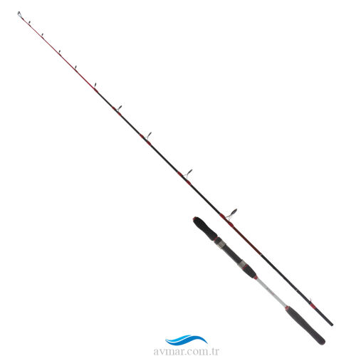 Ryuji Searider 1.80m 60-180gr 2P Jig Kamış - 1