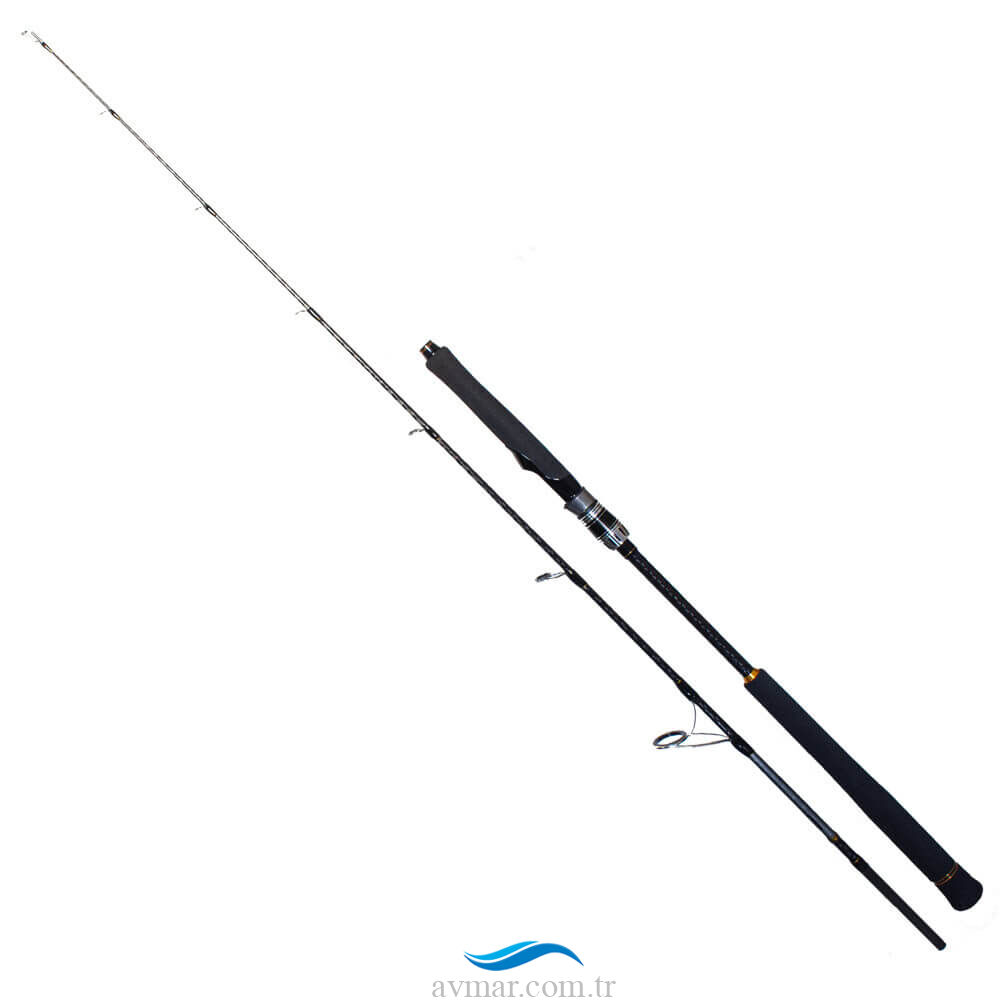 Ryuji Seawolf 168cm 150-250gr Jig Olta Kamışı