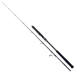 Ryuji Seawolf 198cm 150-250gr Jig Olta Kamışı - 1