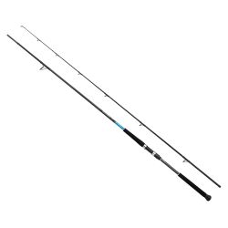 Shimano Bassterra XT Shore Jigging 289cm 20-80gr Olta Kamışı - 1