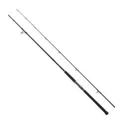 Shimano Currentsniper BB Shore Jigging 290cm 85gr Jig 100gr Olta Kamışı - 1