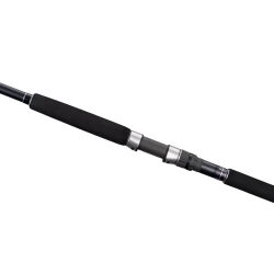 Shimano Currentsniper Xr Shore Jigging 290cm 100gr Jig 120gr Olta Kamışı - 2